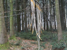Poetischer Ort Klangbogen